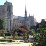 Vue de Notre-Dame depuis le Viviani park