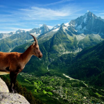 Chamonix été